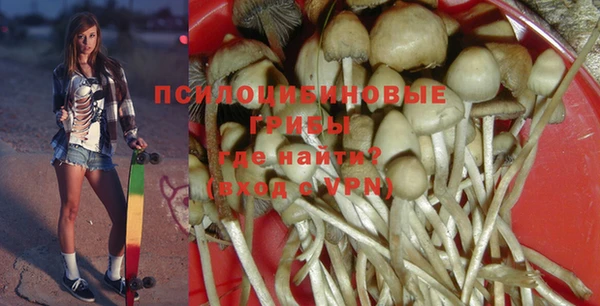 хмурый Верея